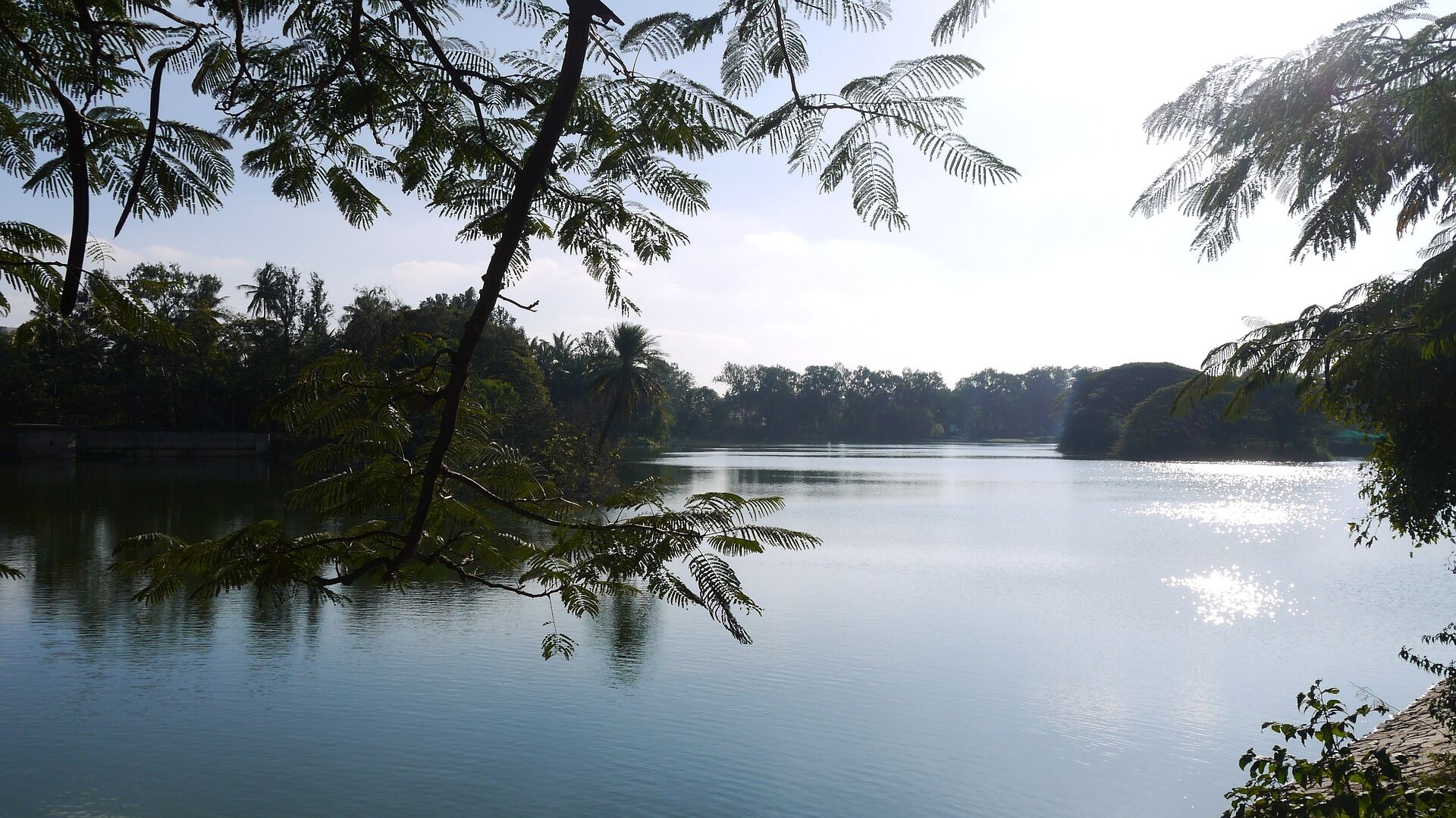 1 Day Walking Tour Of Bangalore