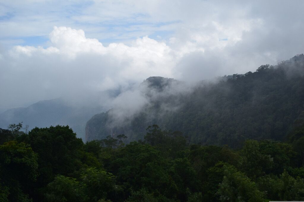 Best Hill Stations In Tamil Nadu For A Break