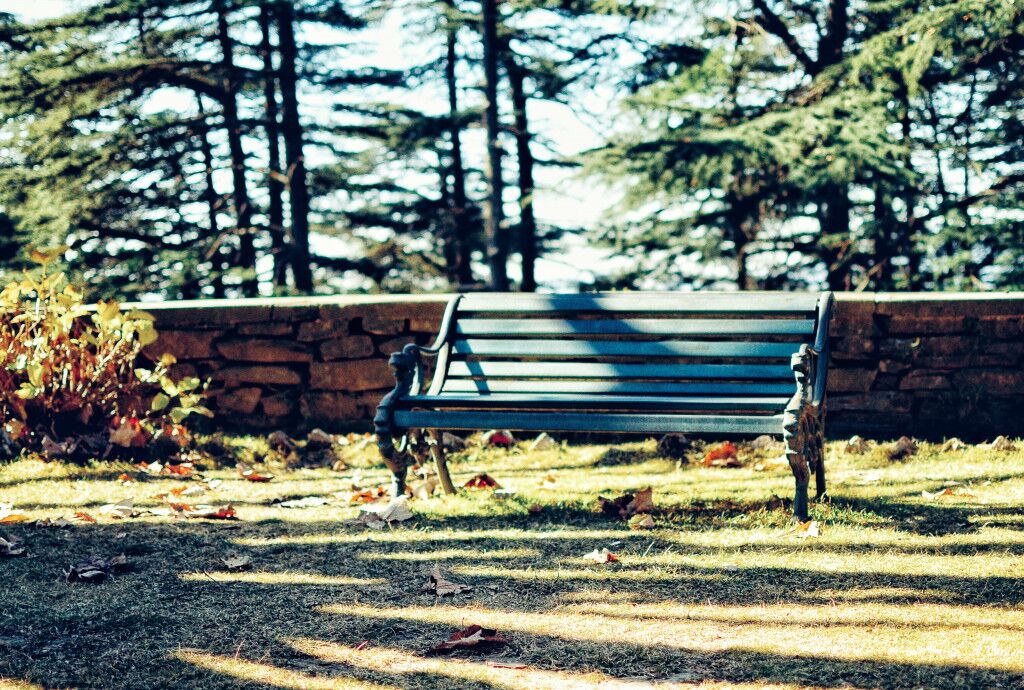 best homestays in Chail