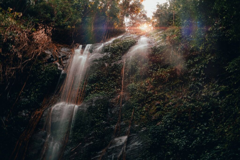 Experience: Kodachadri Trek In Karnataka