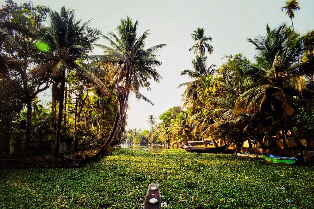best homestays in Alleppey
