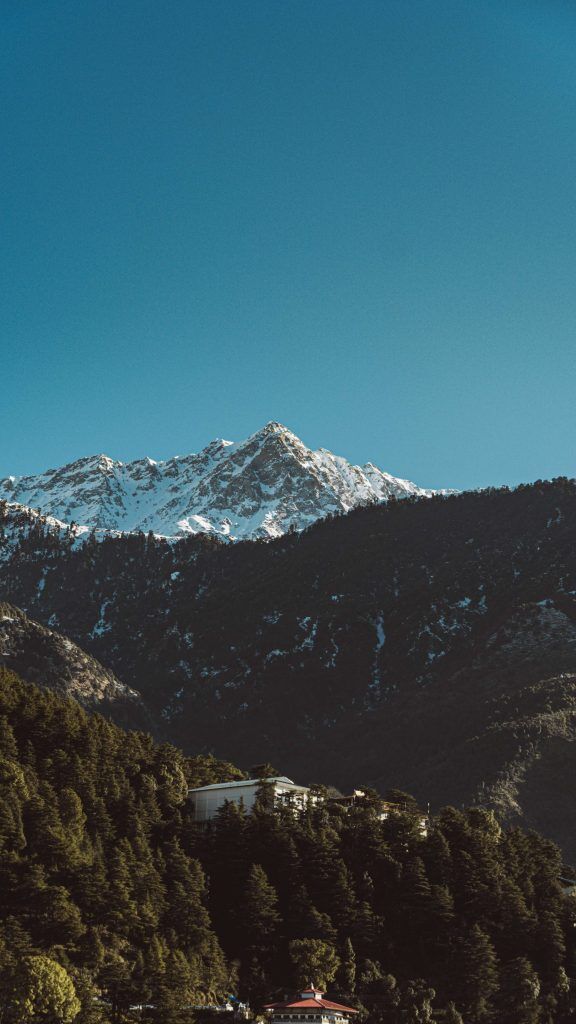 7 Budget Stays In Dharamshala