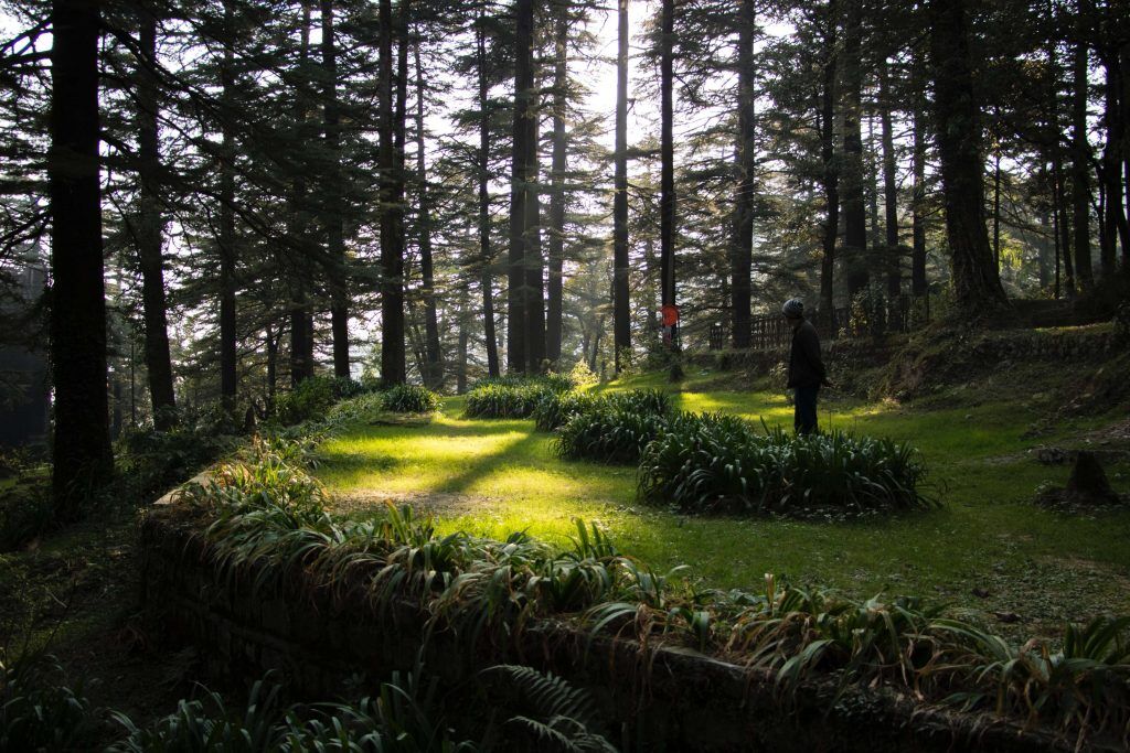 7 Budget Stays In Dharamshala