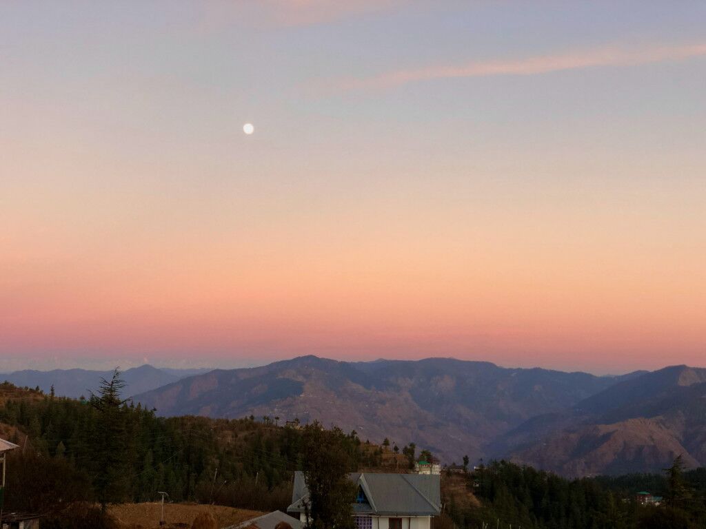 homestays in chail
