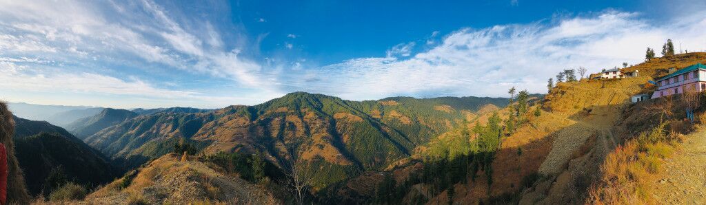 homestays in chail