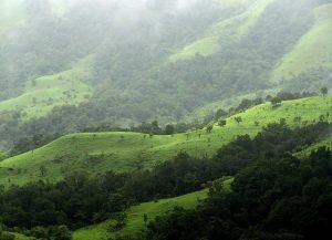 Mysore In Summer