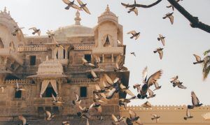 Udaipur travel guide