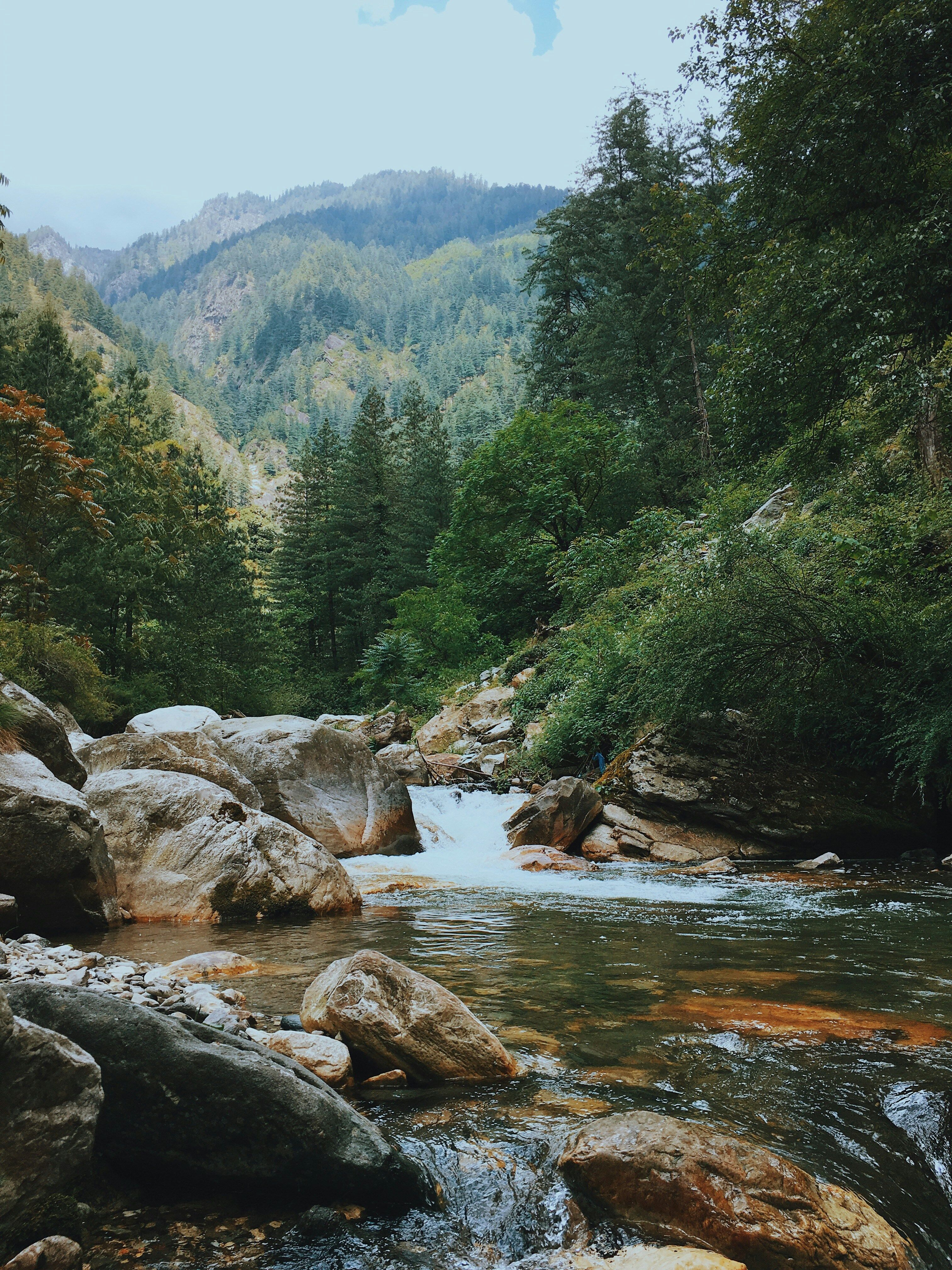 Kasol Travel Guide