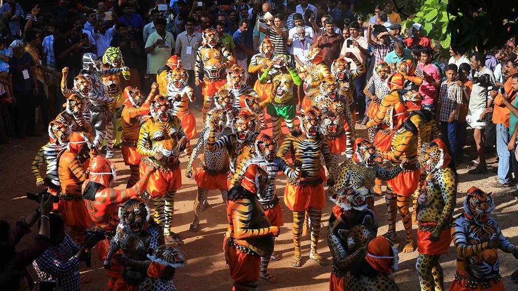 Photo Credits: Website/keralatourism.com