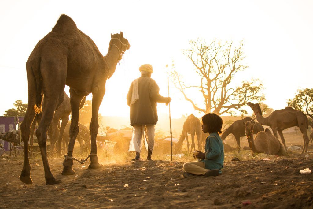 places to go glamping in Rajasthan