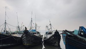 Sewri Fort, Sewri