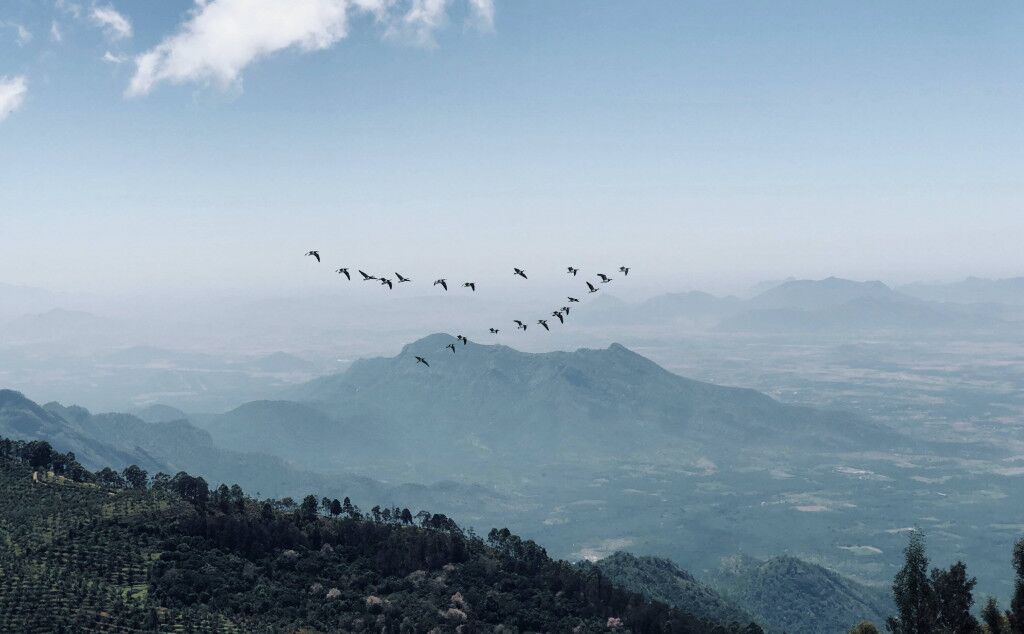 Tamil Nadu Travel Guide