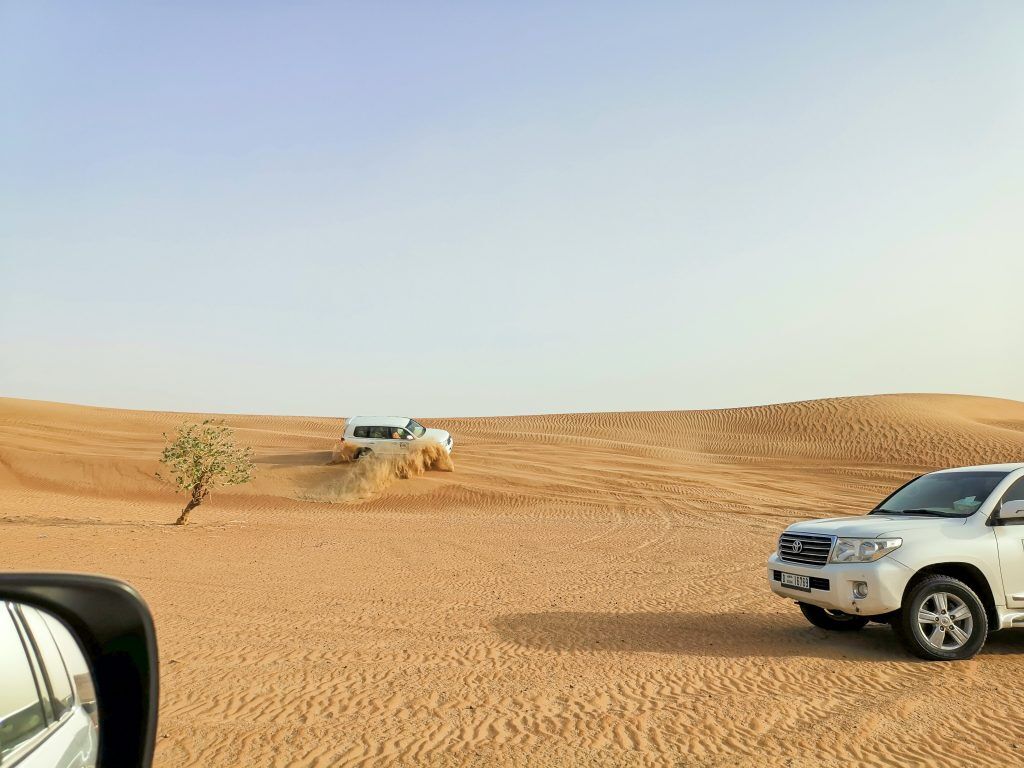 Adventure Activities In Rajasthan