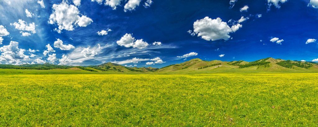 Best Places To Go Trekking In Uttarakhand