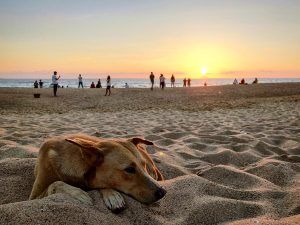 vipin-nair-HK-S2P_x4MA-unsplash-Goa.jpg
