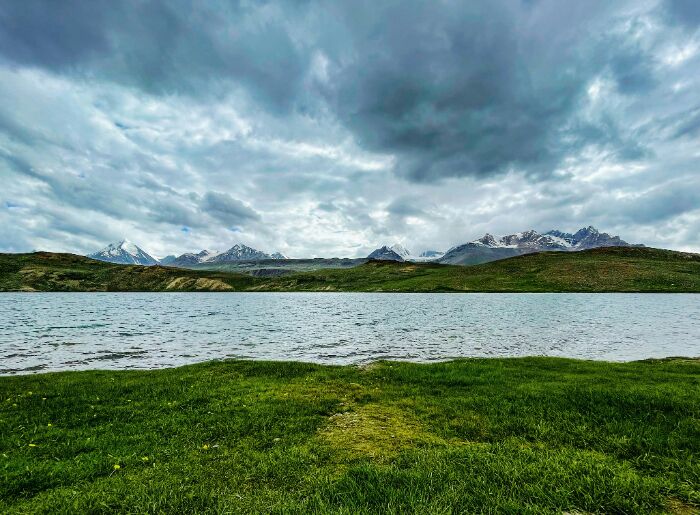 Lush greenery around Chandratal lake