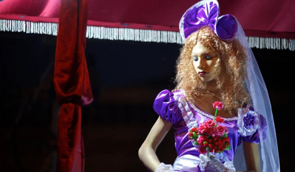 Cochin Carnival