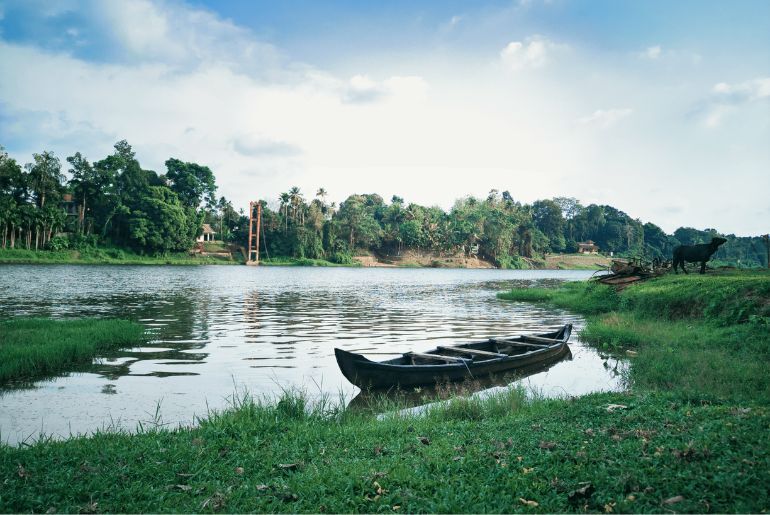Things To Do In Kerala In December