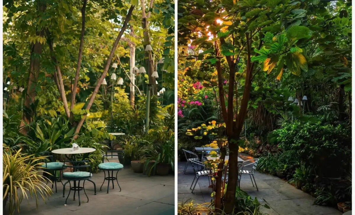 wild garden cafe
