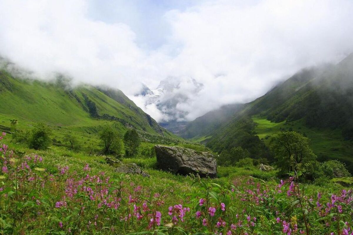 Valley Of Flowers