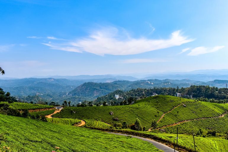 best homestays in munnar