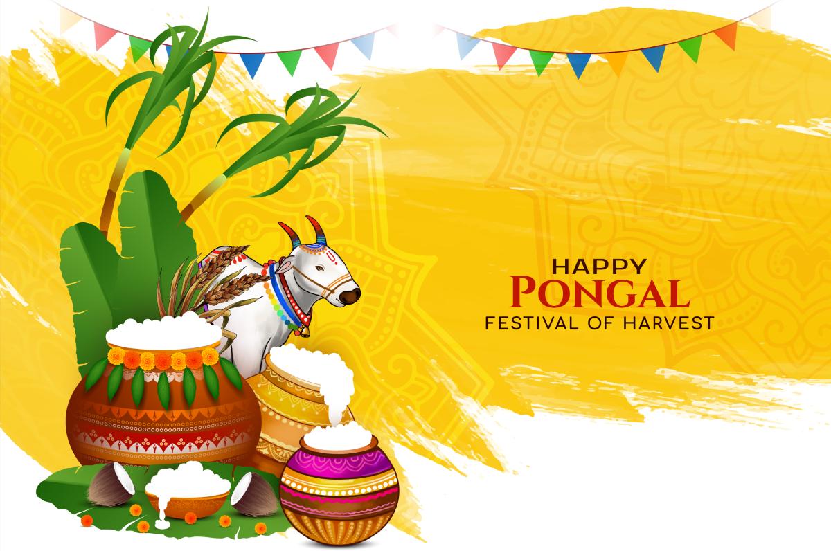 Pongal 2026