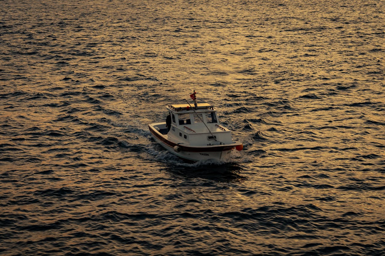 Yamuna Cruise