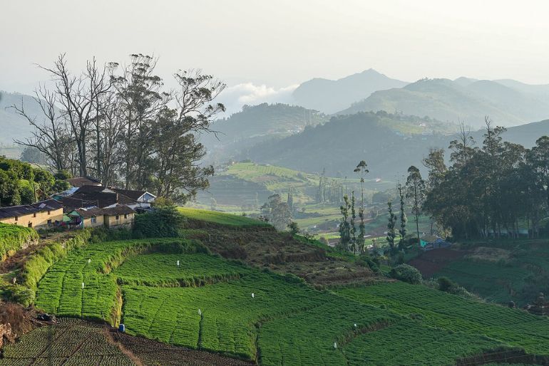 ooty