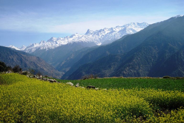 Kid-Friendly Treks In India