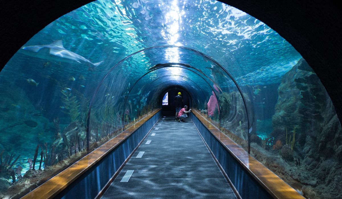 best aquariums india
