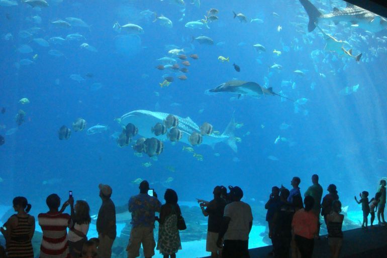 best aquariums india