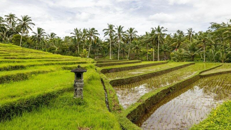 Bali Vs Thailand: Which Destination Is Better For Indian Travelers