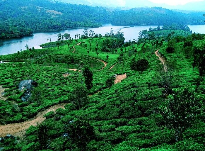 Munnar 3 Days 2 Nights Itinerary