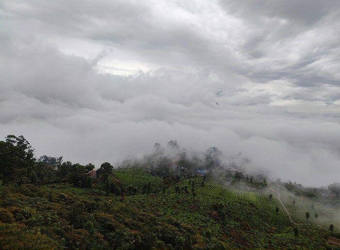Munnar In Monsoon