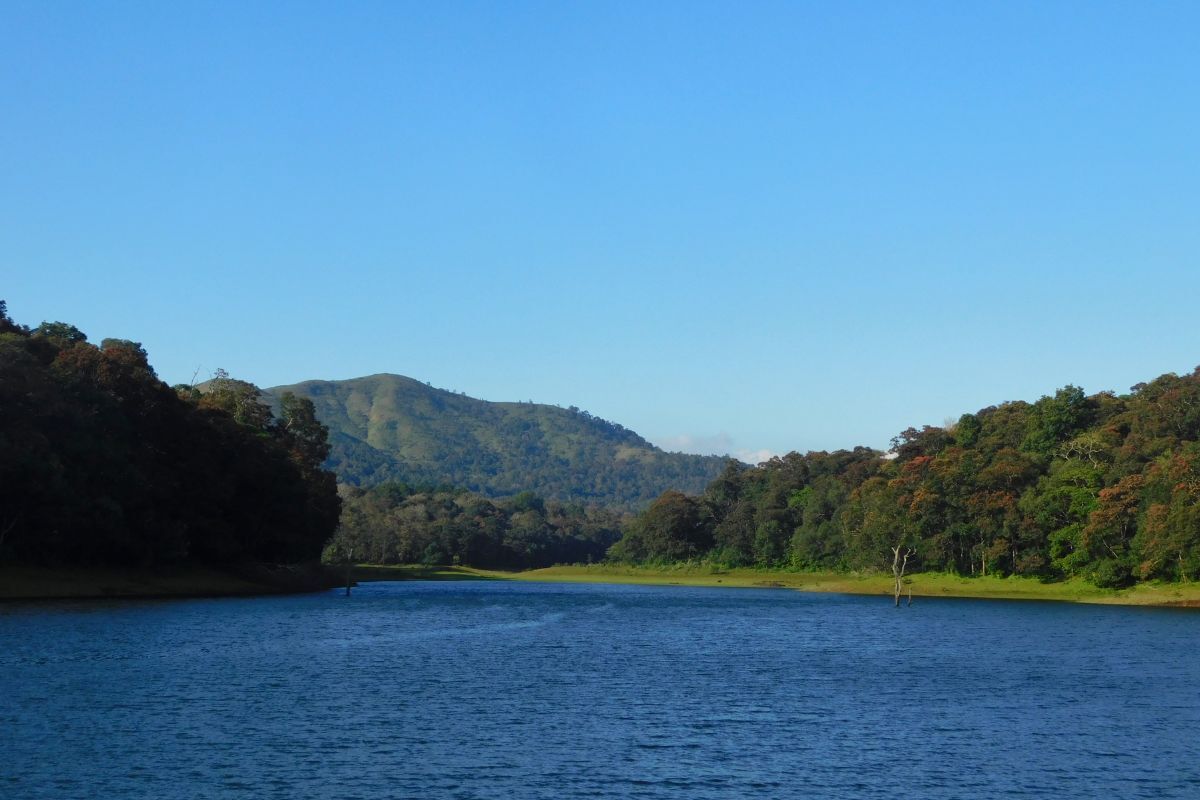 Best Time to Visit Thekkady