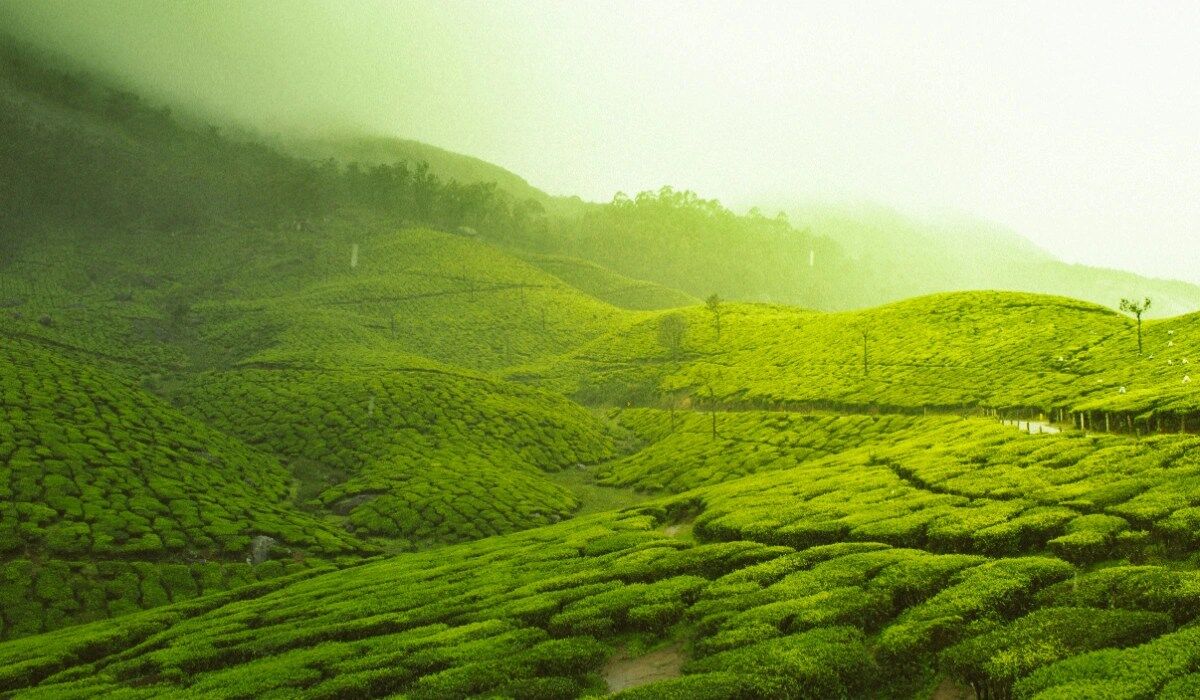 Munnar 3 Days 2 Nights Itinerary