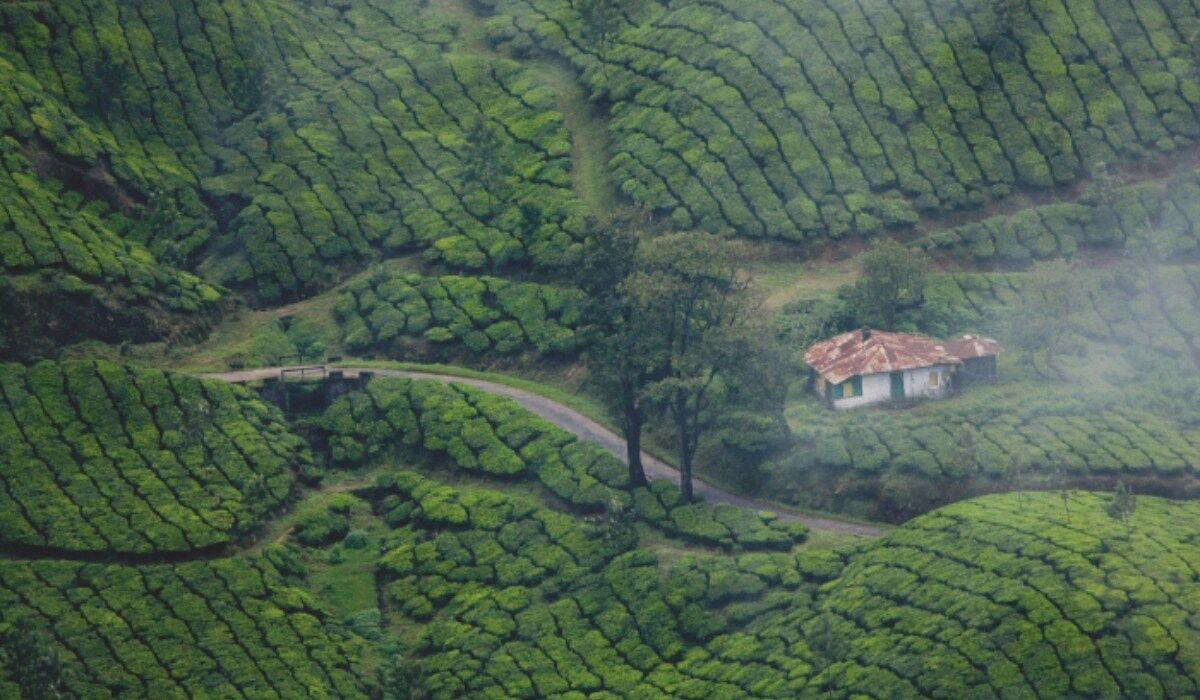 Munnar Budget Trip