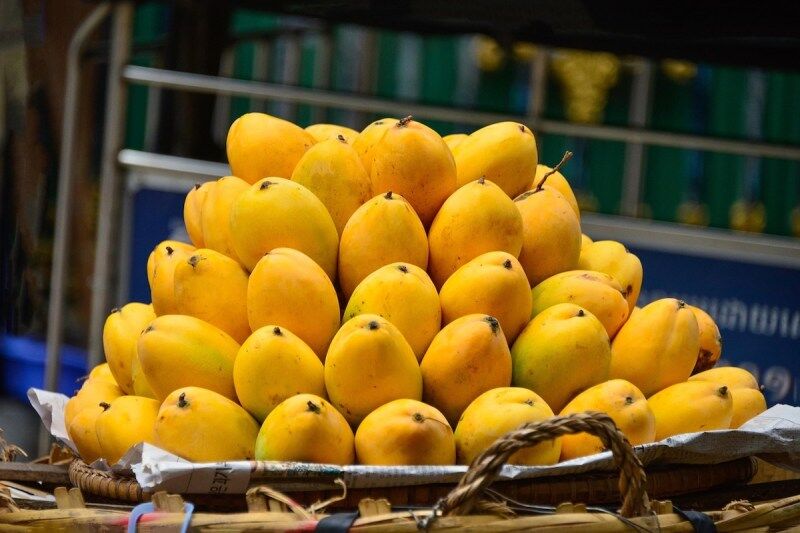 Delhi Mango Festival