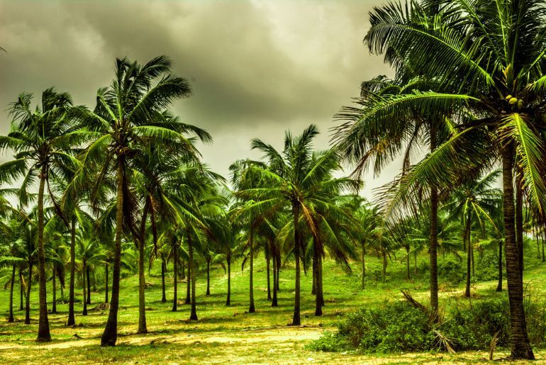 goa monsoon