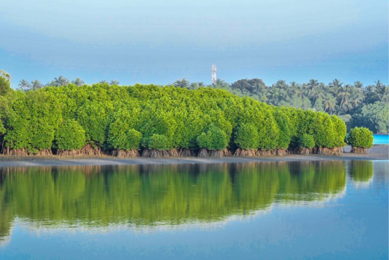 how to reach kannur