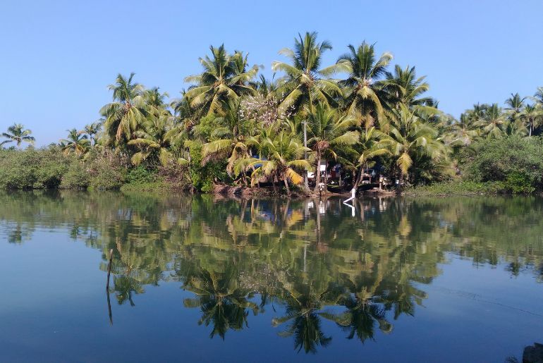 stay in kasaragod