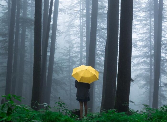 Himachal Pradesh Travel Tips during monsoon