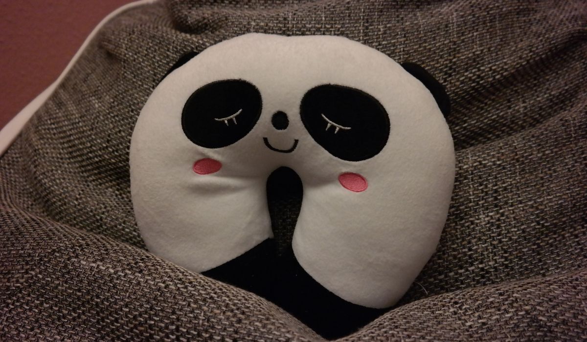 best travel pillows