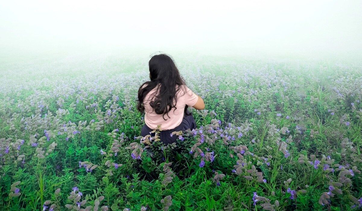 Kaas Plateau flower season in 2026