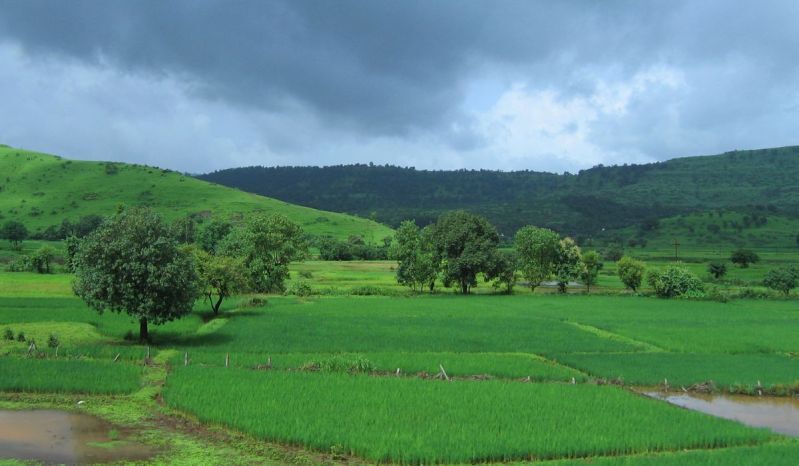 Konkan trip in monsoon