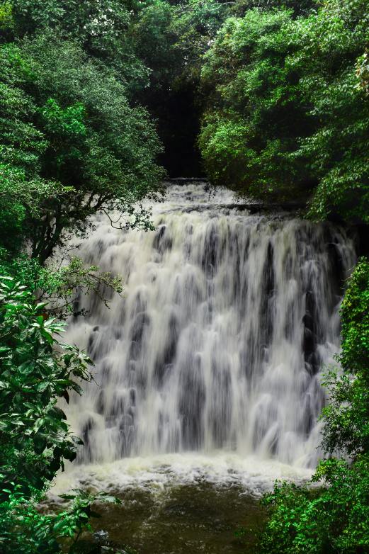 Mighty Elephant Falls gushing down amidst lush greenery