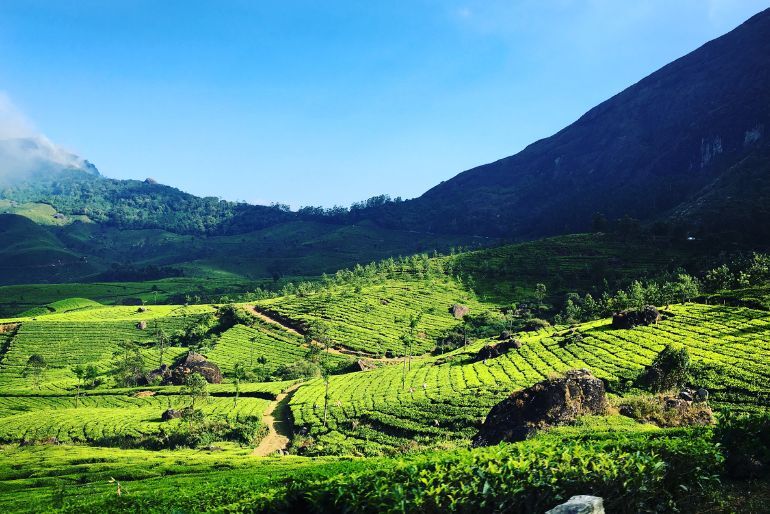 homestays in munnar