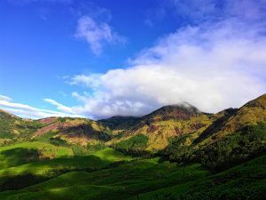 India Bucket List Ideas: Experiences To Try At Least Once