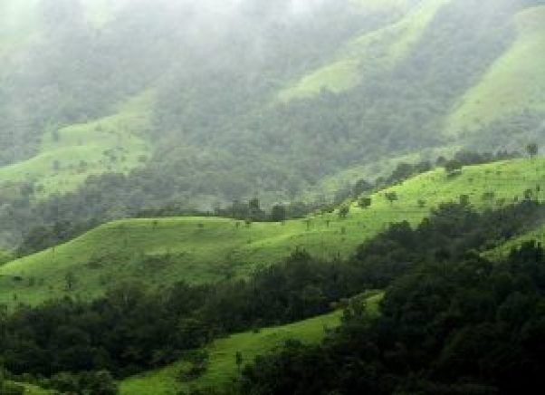Mysore In Summer