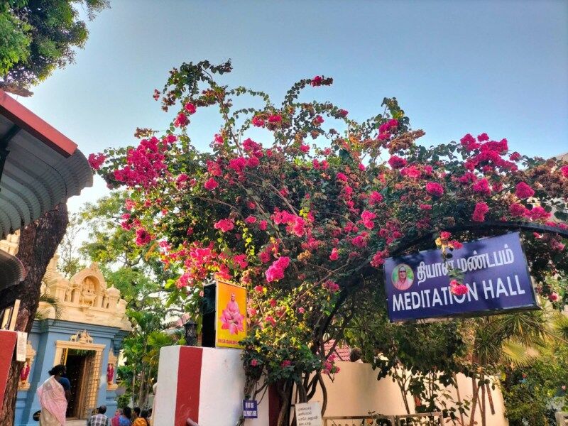 1 Day Walking Tour Of Chennai: Best Places To Cover